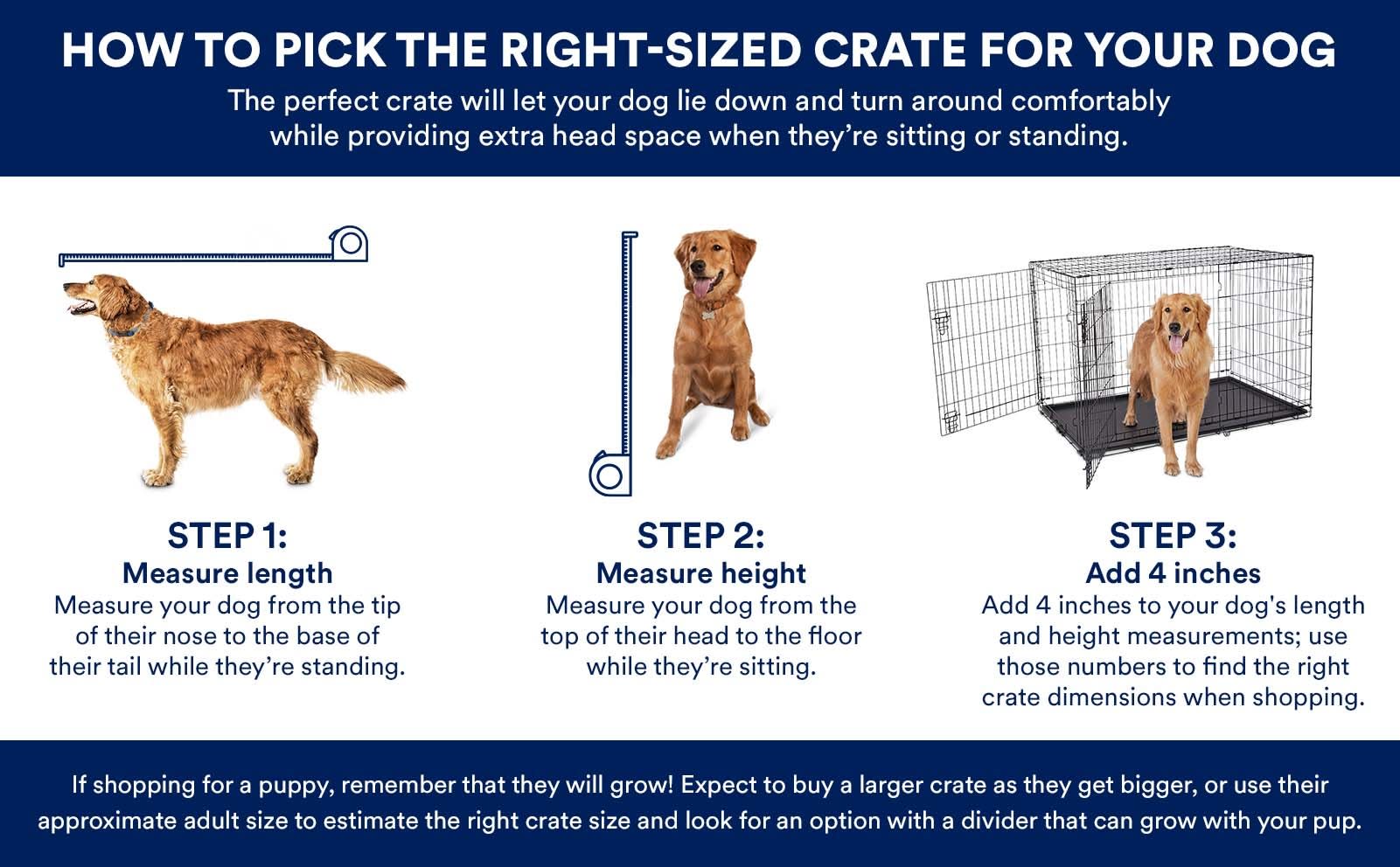 What Size Cage For A Labrador Sale Www pennygilley