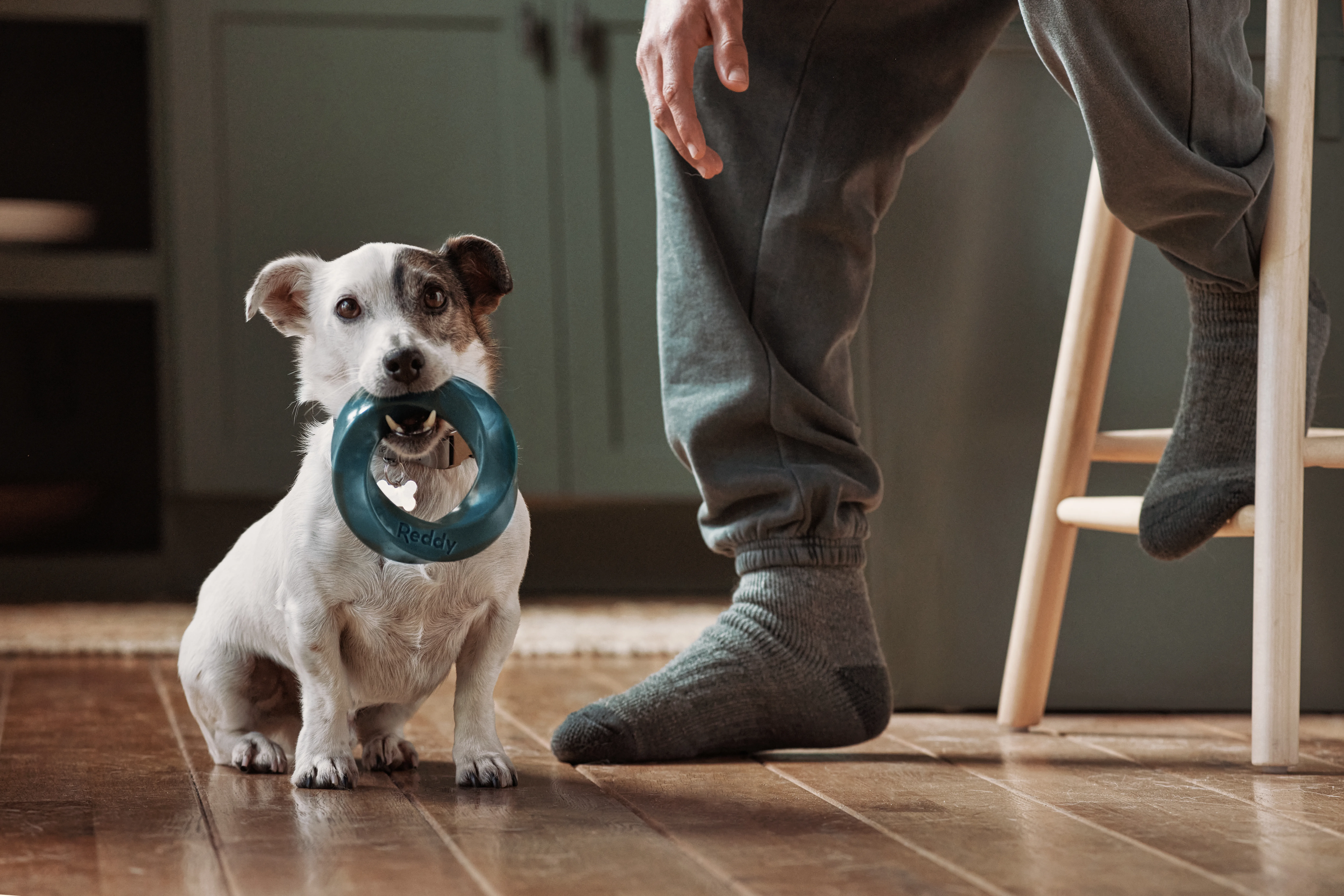 I recently purchased a memory foam mattress topper that is CertiPUR-US certified. This means that it contains VOC’s that are less than 0.5 parts per million which is the safe range for humans. However, I am wondering if this is also a safe range for 