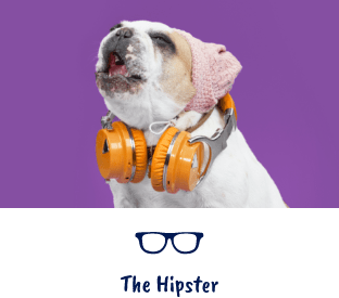 Dog wearing headphones and beanie
