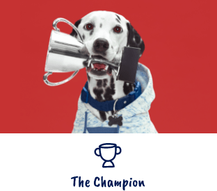 Dog holding trophy in mouth