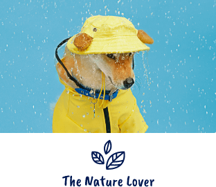 Dog wearing raincoat