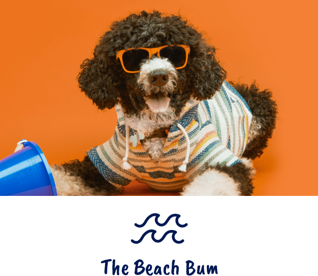 Dog in beachwear
