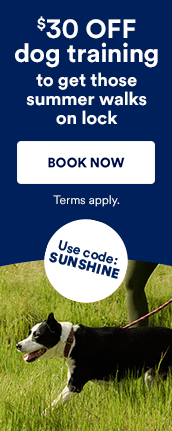 $30 Off Dog Training to get those summer walks on lock. Book Now. 