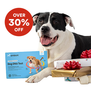 dog food supplies online