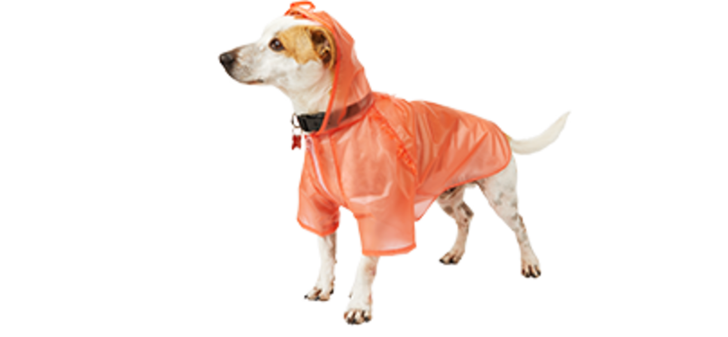 New! Spring Time Dog Clothes In Chicks and Bunny