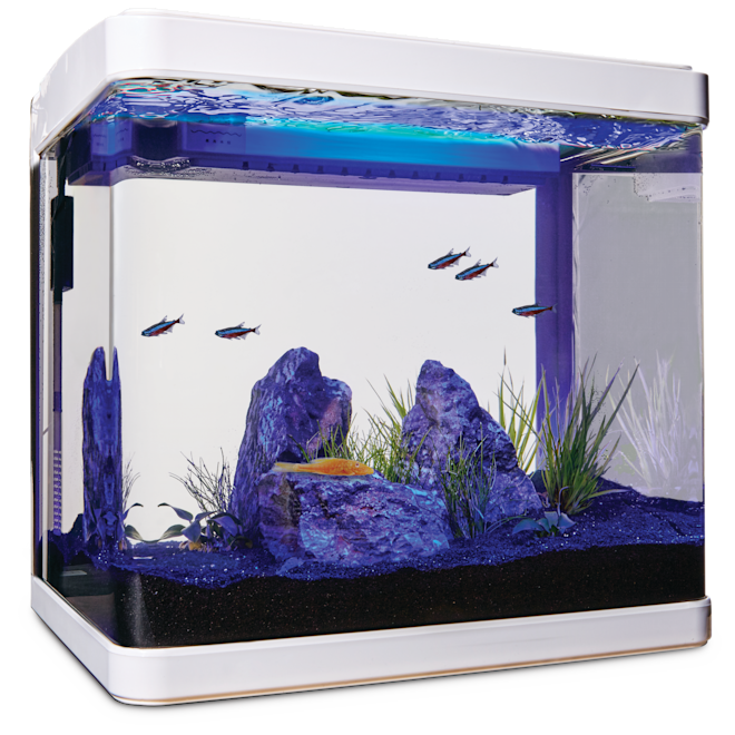 Top Fin Modern Betta Aquarium Tank - 2 Gallon, PetSmart