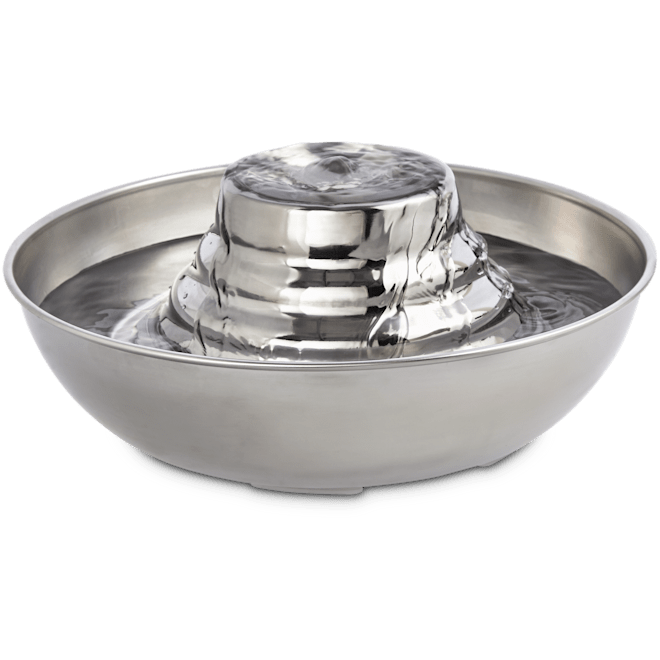 The Best Water Fountain For Cats And Dogs In 2023 Reviews By Wirecutter