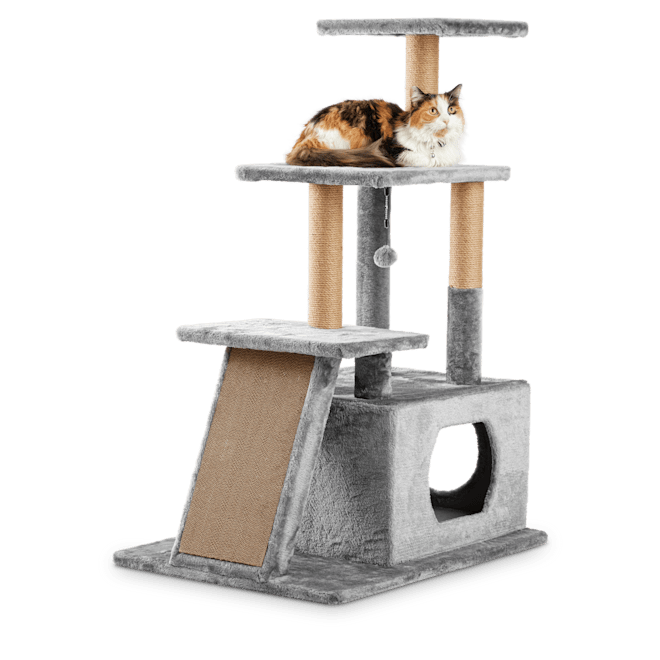 Best Cat Trees  Towers: Top Best-Sellers Petco