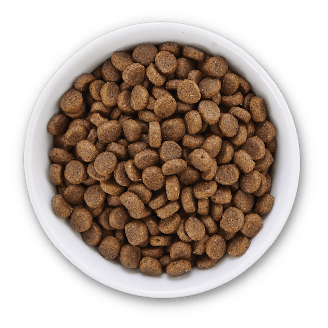 Shop Cat and Dog Food Grinders for the BARF Diet