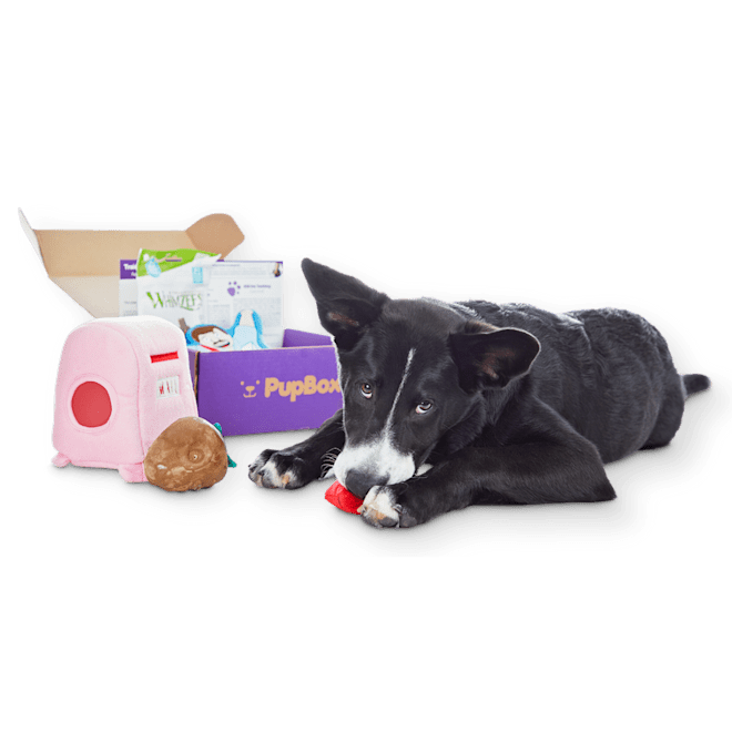 Cat Food Supply Toy, Large Dog Products, Pets Products Dogs