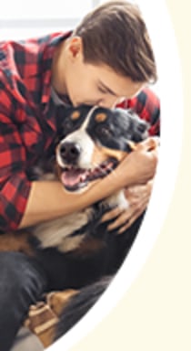 Dog pain meds new arrivals petco