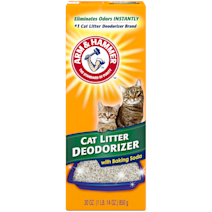 Stain & Odor Remover