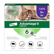 Activyl tick 2024 plus flea advantage