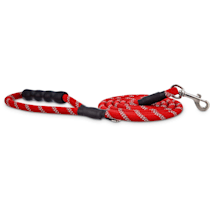 Red Dog Leashes
