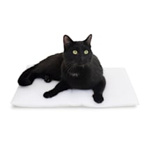 Carolina Pet Company