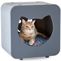 Kitty Kasas