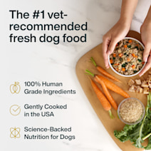 Fresh & Frozen Dog Food