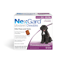 Oral flea and tick medication hot sale for dogs