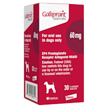 Pain Relief & Arthritis