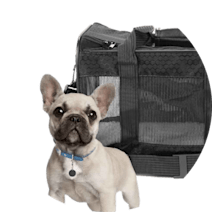 Airline-Approved Carriers
