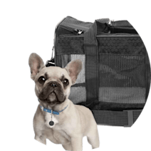 Outdoor Accessories - Outdoor Dog Products - Home & Travel