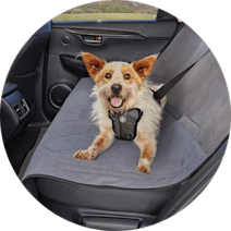 Seat Protectors & Barriers