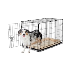 Petco shop dog enclosures