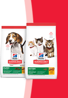 Bags of Hill's Science Diet pet food.