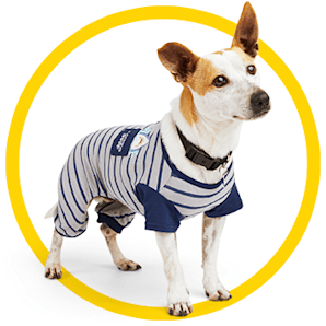 Moocorvic Dog Pajamas Clothes for Small Dogs Boy Girl, Soft Pet