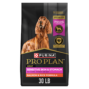 Petco brand 2024 dog food