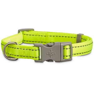 Top Paw® Gunmetal Core Dog Collar  Dog collar, Dog collar size, Gunmetal