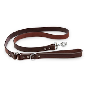 Classic Brown Chewy V Dog Collar and Leash Set