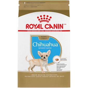 What is the best food to feed a chihuahua sale