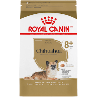 What's the best dog outlet food for a chihuahua