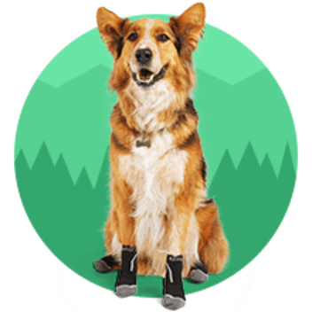 Boots & Paw Protection