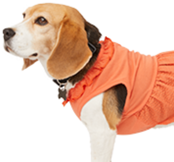 Banstore Dog Clothing Puppy T-Shirt Puppy Pet Fashion Costume for Small Dog