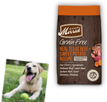 Merrick puppy food clearance beef