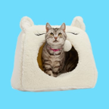 Bed bath and beyond cat cheap bed