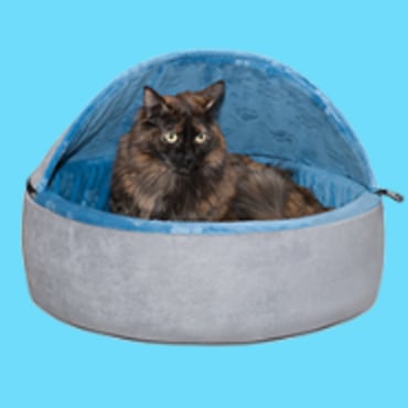 Petco heated hot sale cat house