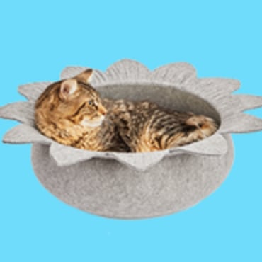 Bed bath and beyond cat outlet bed