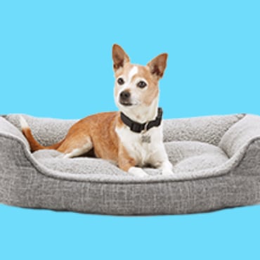 Petco Large Dog Bed Pet Beds, Rural King Heated Pet Bed Instructions