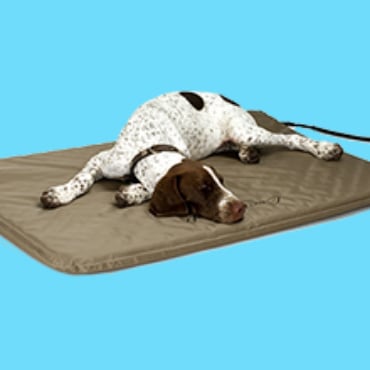 Dog bed covers petco best sale