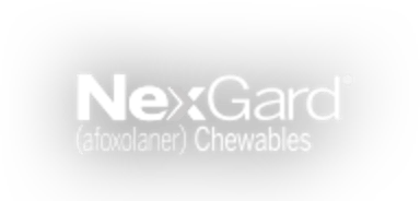 Nexgard for shop dogs petco