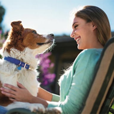 Woman smiling at dog outside