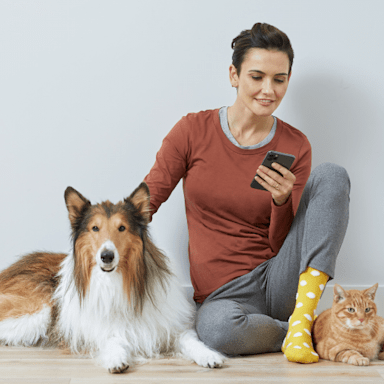 Woman looking at her phone sitting next to Rough Collie