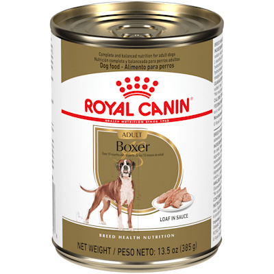 Boxer dog shop sale