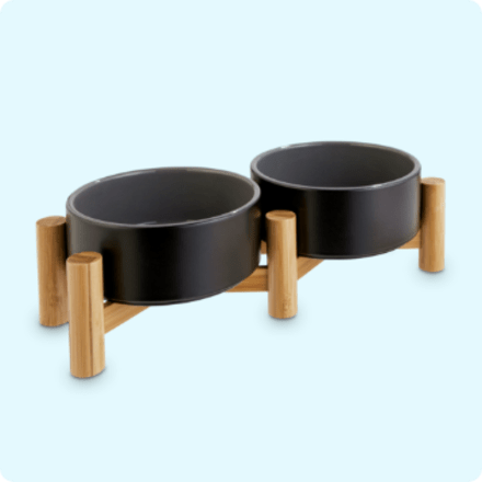 Modern Tall Metal Elevated Dog Bowl With Natural Wood Top - Black