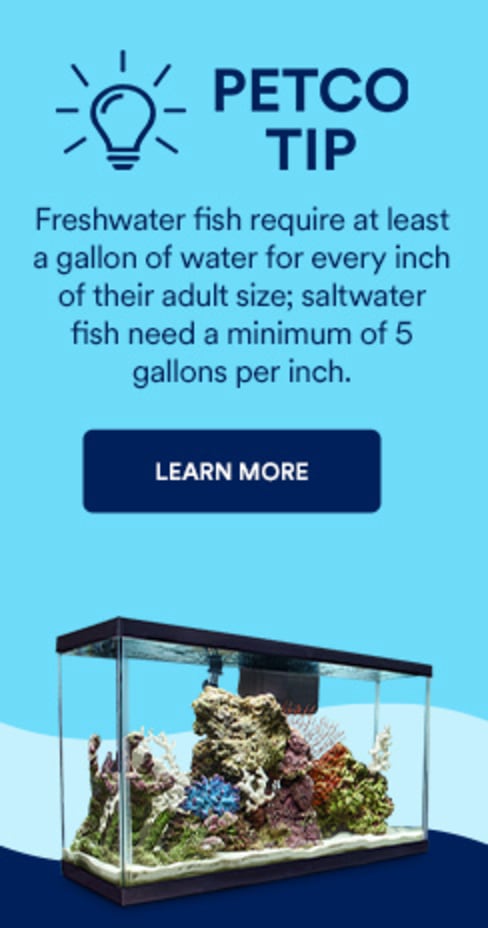 Aquariums, Tanks & Bowls: Small-Large Tanks | Petco