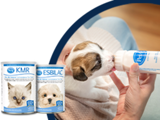 Dogsure petco hotsell