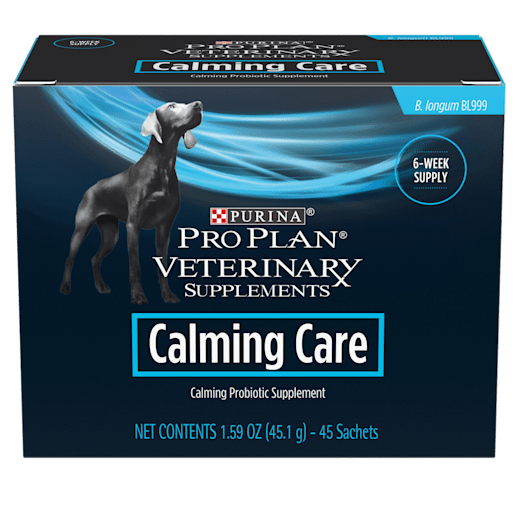 What is the Best Calming Treat for Dogs? 2